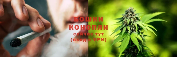 ALPHA PVP Верея