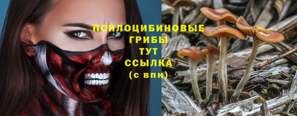 герыч Верхний Тагил