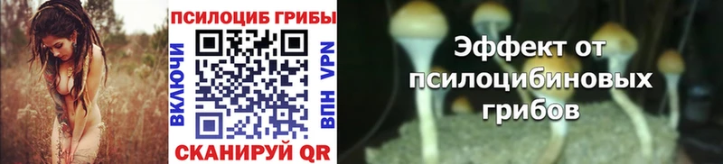 Псилоцибиновые грибы мухоморы Губкинский